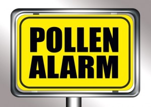 Hay fever symptoms Hay fever relief