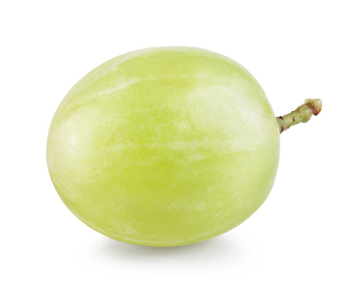 Plump, fresh grape