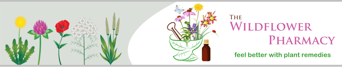 The Wildflower Pharmacy